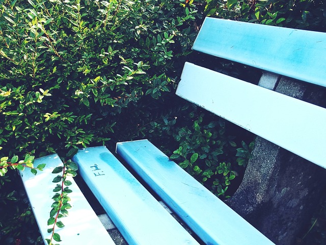 主场迎战湖人 魔术官方：本场观战人数19598 创队史新纪录.