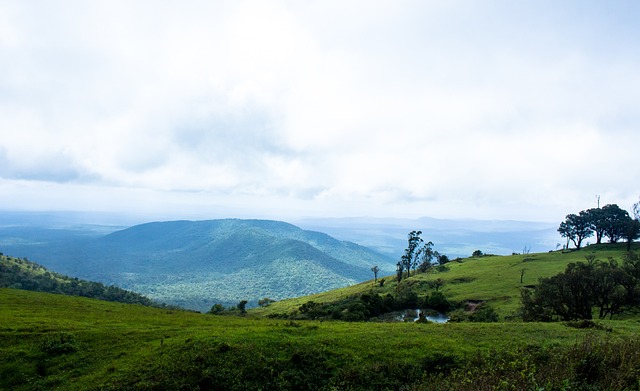 本场比赛中 本场比赛中