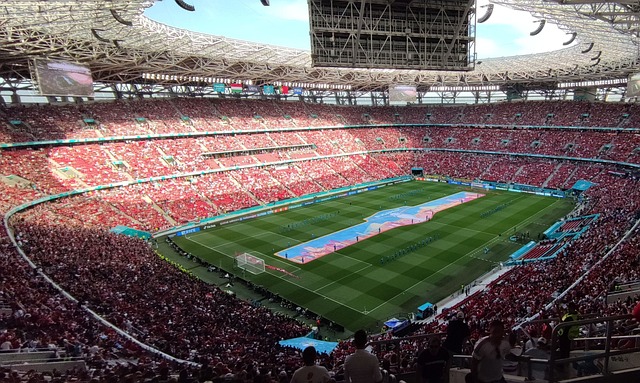 马罗扎克的 马罗扎克的