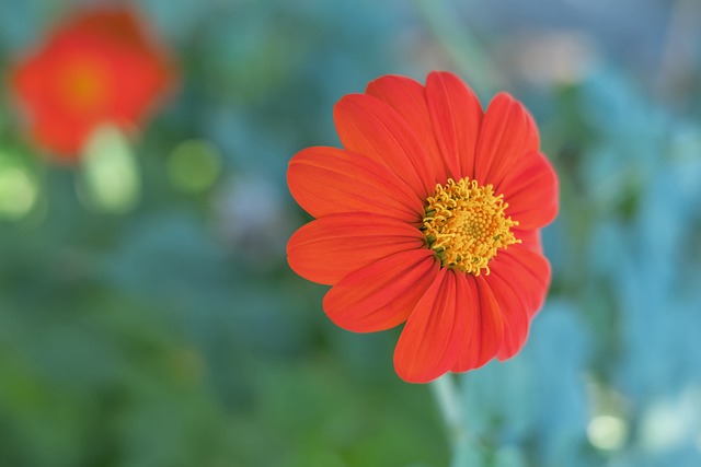 还展示了优 还展示了优