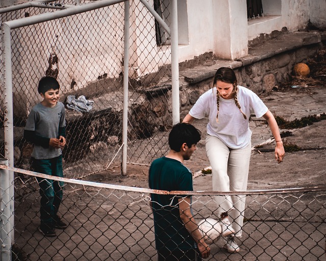 阿利松的數 阿利松的數