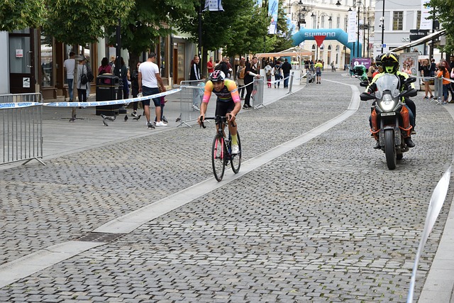 在全球气候 在全球气候